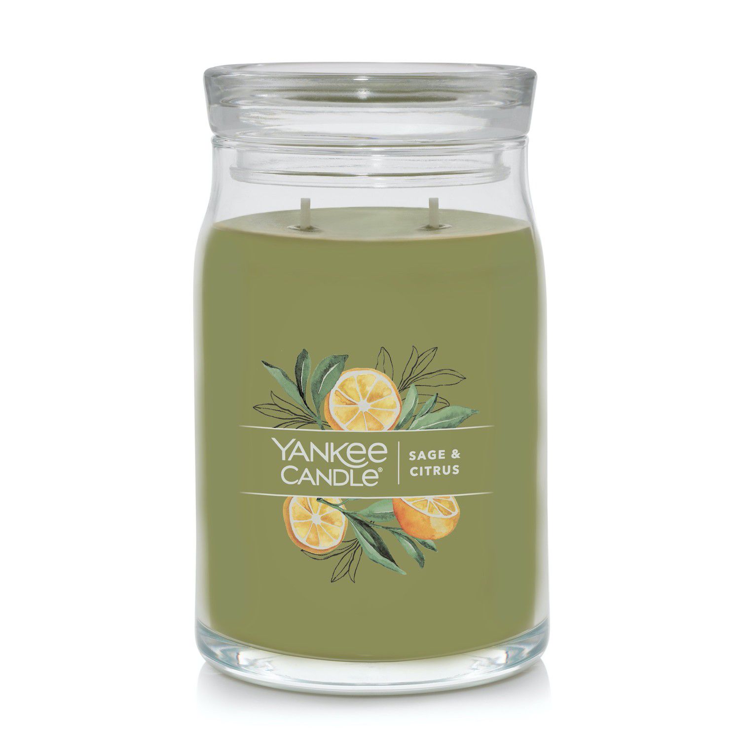 Yankee Candle Sage & Citrus Wax Melt Multi-Pack