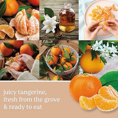 Yankee Candle Tangerine & Vanilla 20-oz. Large Candle Jar