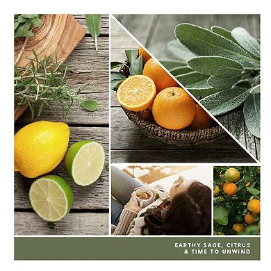 Yankee Candle Sage & Citrus Sidekick Fragrance Refill 2-piece Set