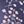 Evening Blue Floral