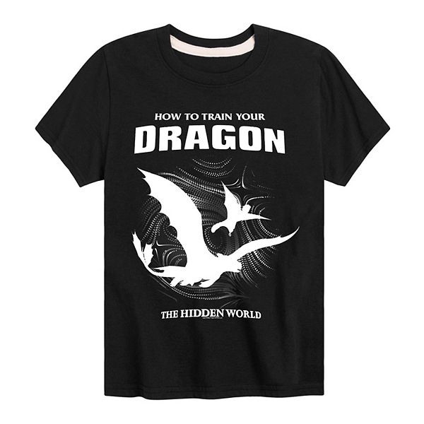 Boys 8-20 How To Train Your Dragon Fly Graphic Tee