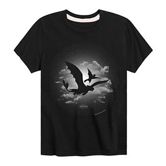 Boys 8-20 How To Train Your Dragon Fun Graphic Tee