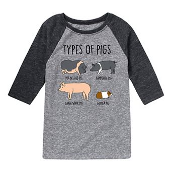 Boys 8-20 Types Of Pigs Graphic Raglan Tee