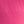 Magenta Garden