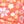 Coral Ditsy Floral