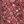 Pink Deco Paisley