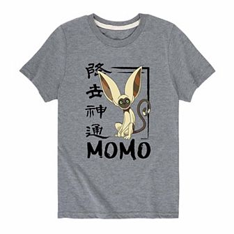 Boys 8-20 Avatar The Last Airbender Momo Graphic Tee