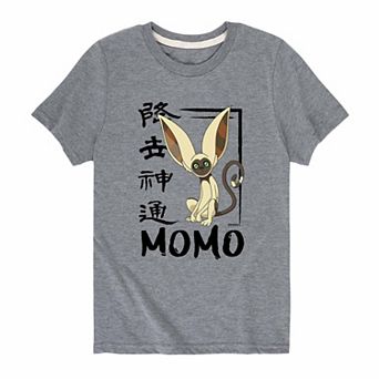 Boys 8-20 Avatar The Last Airbender Momo Graphic Tee