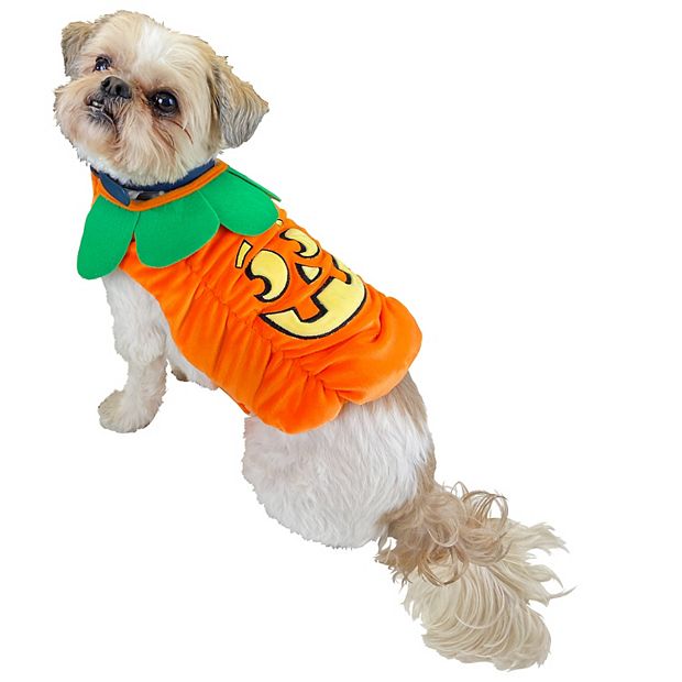 Miflame Pet Apparel Halloween Pumpkin Outfit Small Medium Dogs