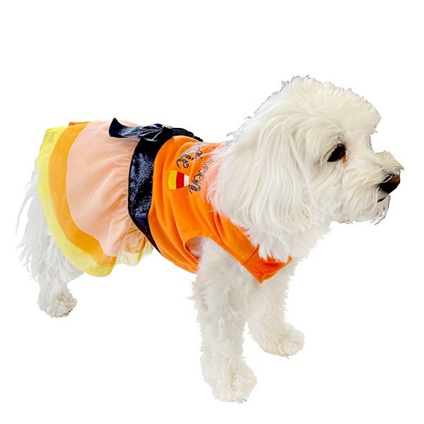 How To Dress Like A Dog