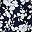 Navy Blossom Floral