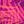 Violet Stipple Palm