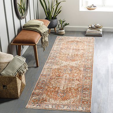 Decor 140 Anisa Traditional Washable Area Rug