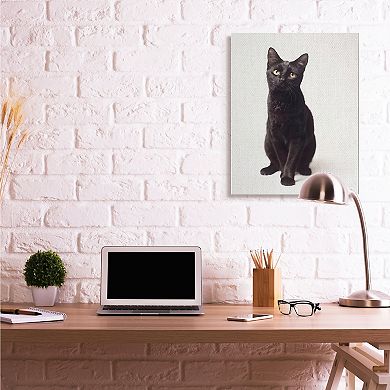 Stupell Home Decor Cute Black Cat Expressive Eyes Pet Portrait Wall Art