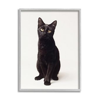 Stupell Home Decor Cute Black Cat Wall Art