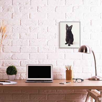Stupell Home Decor Cute Black Cat Expressive Eyes Pet Portrait Wall Art