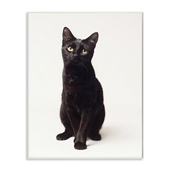 Stupell Home Decor Cute Black Cat Wall Art