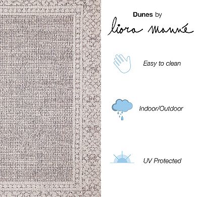 Liora Manne Dunes Border Indoor/Outdoor Rug