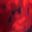 Red Texture Multi