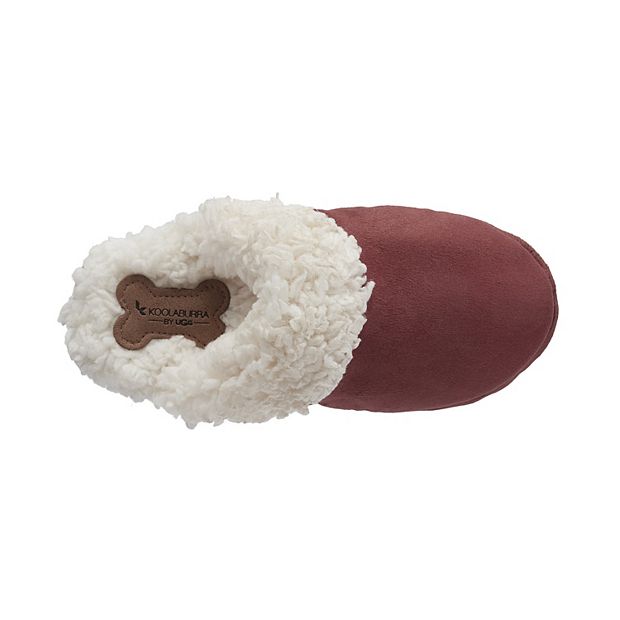 Ugg 2024 dog slippers