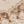 Beige Brown