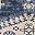 Navy Blue Beige