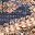 Navy Blue Brown