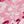 Rose Bloom Floral