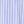 Chicory Blue Stripe