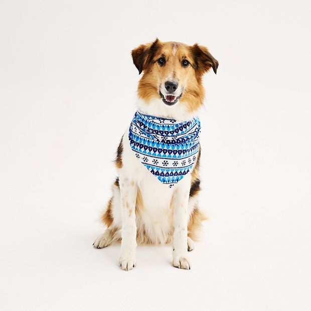 Winter dog deals bandana