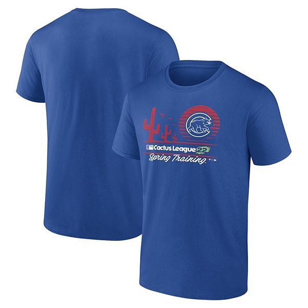 Chicago Cubs Fanatics Branded We Are Icon T-Shirt - Royal