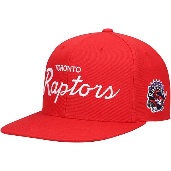 Raptors store script hat