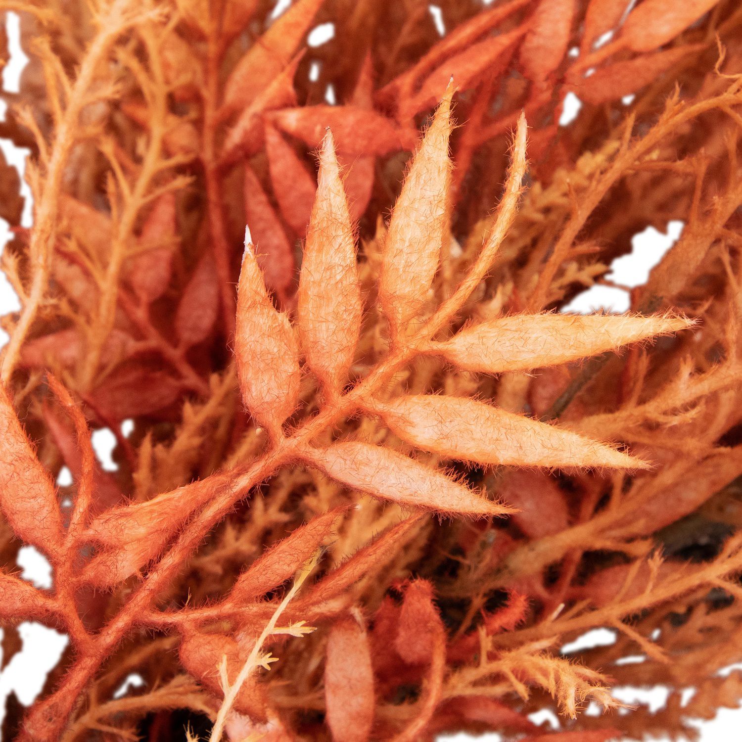 Northlight Pampas Grass Wreath - Thumbnail 5