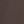 Baroque Brown