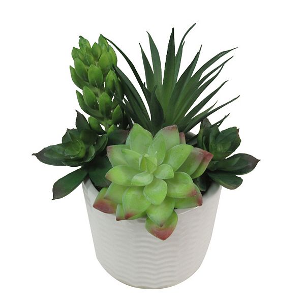 Sonoma Goods For Life® Faux Succulents & Pot