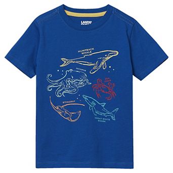 Boys 2-20 Lands' End Quirky Short Sleeve Graphic Tee in Regular & Husky