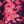 Berry Jacobean