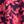 Berry Jacobean
