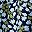 Navy Bloom Floral