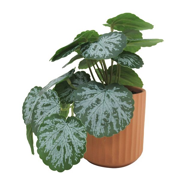 Sonoma Goods For Life® Artificial Leafy Plant Table Decor