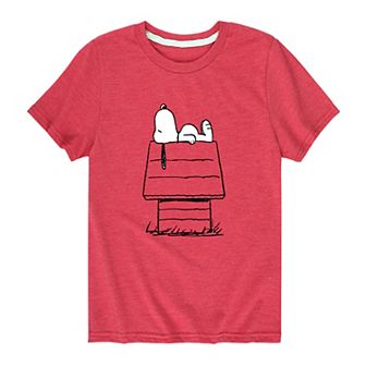 Boys 8-20 Peanuts Snoopy On Doghouse Graphic Tee