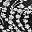 Black White Floral