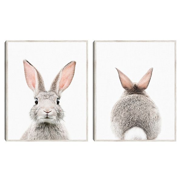 Master Piece Baby Bunny 2 & Baby Bunny Tail Wall Art 2-Piece Set