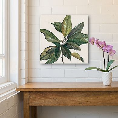 COURTSIDE MARKET Magnolia Leaves I Canvas Wall Art