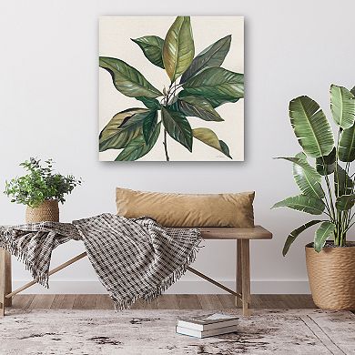 COURTSIDE MARKET Magnolia Leaves I Canvas Wall Art