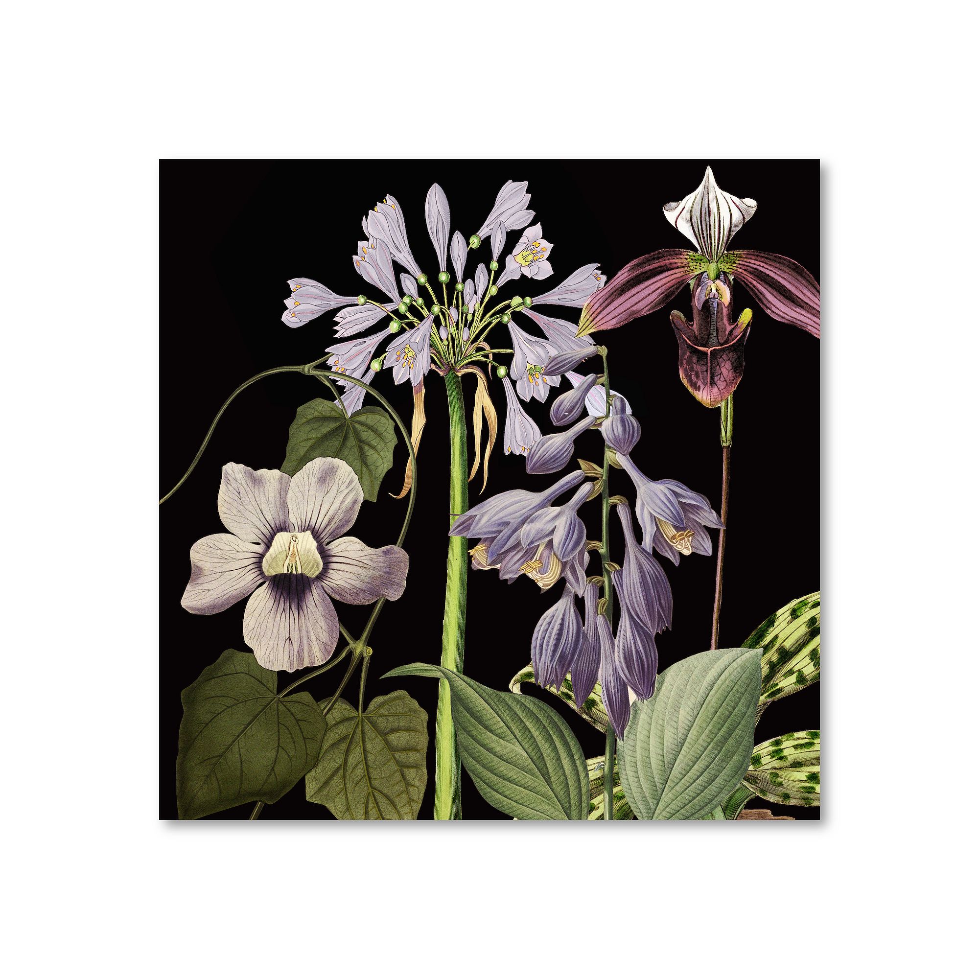 COURTSIDE MARKET Dusty Plum Botanical I Canvas Wall Art, Multicolor