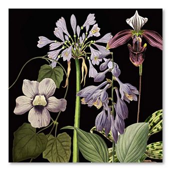 COURTSIDE MARKET Dusty Plum Botanical I Canvas Wall Art