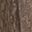 Brown Beige