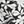 Black Havana Floral