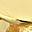 Gold Tone